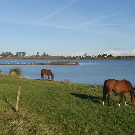 Appartementanlage Zur Seemoewe * Insel Poel